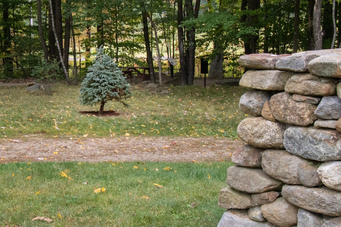 Mem Grdn Tree 2 (Medium)