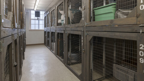 Crotched Mountain Foundation property portfolio.